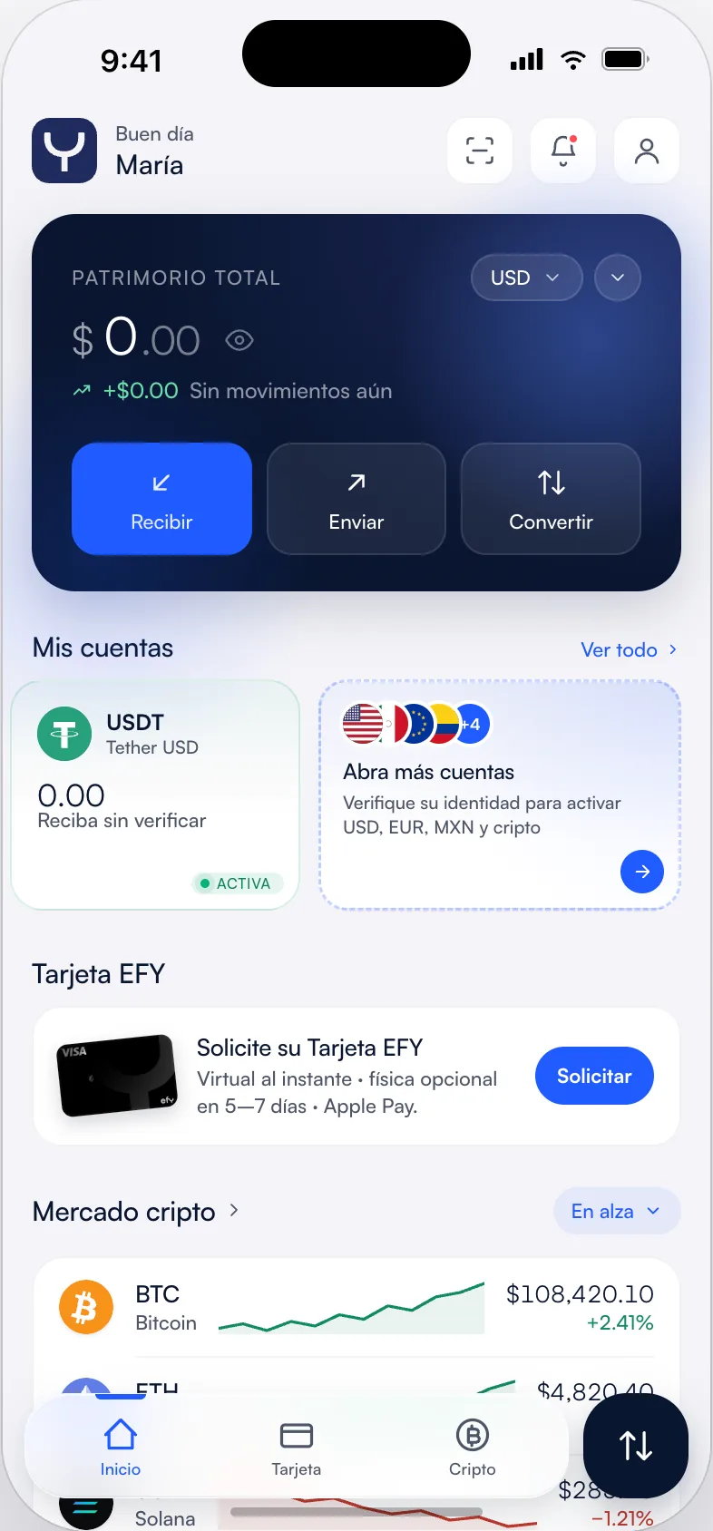 How Multi-currency accounts works in EFY