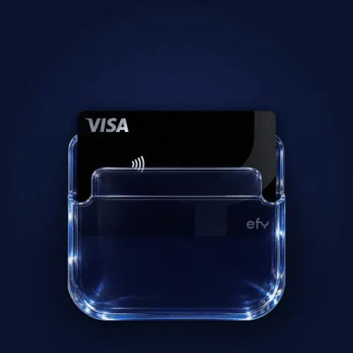 How Digital wallet works in EFY